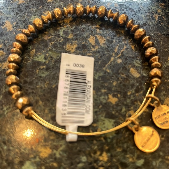 NWT Alex and Ani Canyon Stacking Bracelet Gold Finish - Picture 2 of 3